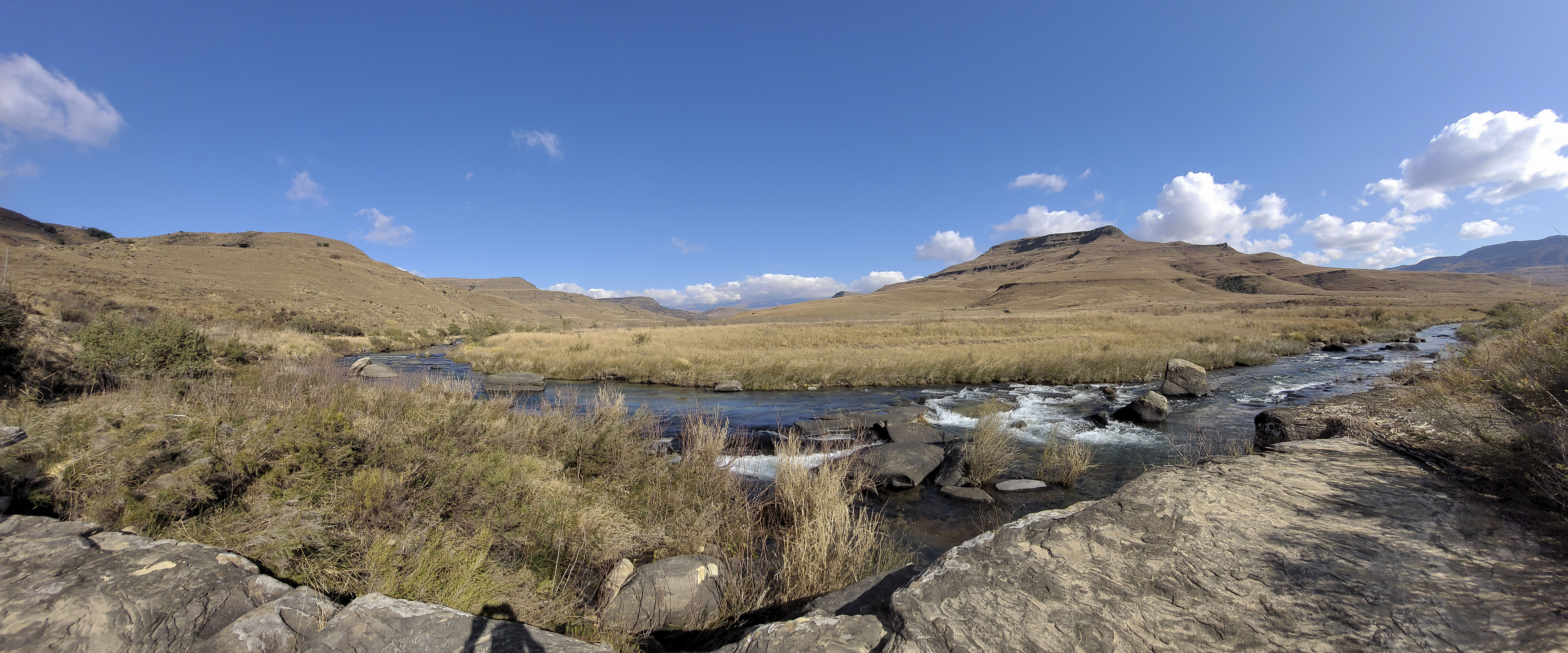 GYT 20220625 105251 20220625 105239